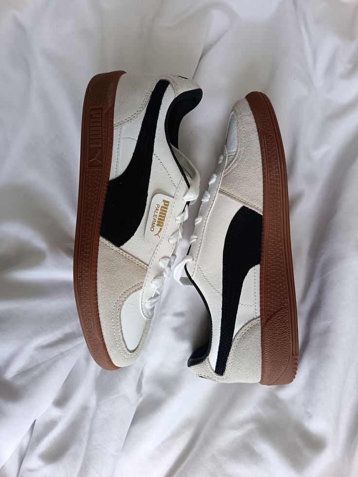 Puma -Palermo