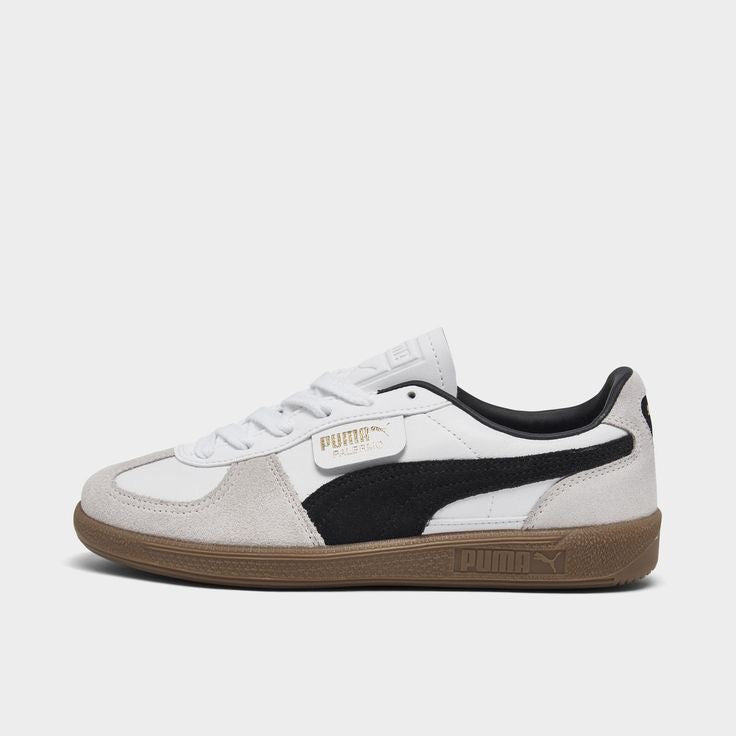 Puma -Palermo