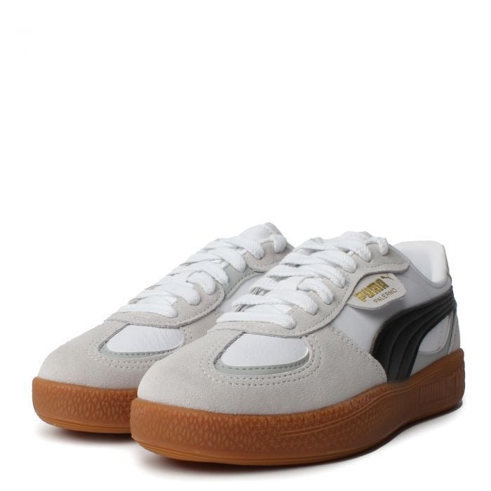 Puma -Palermo