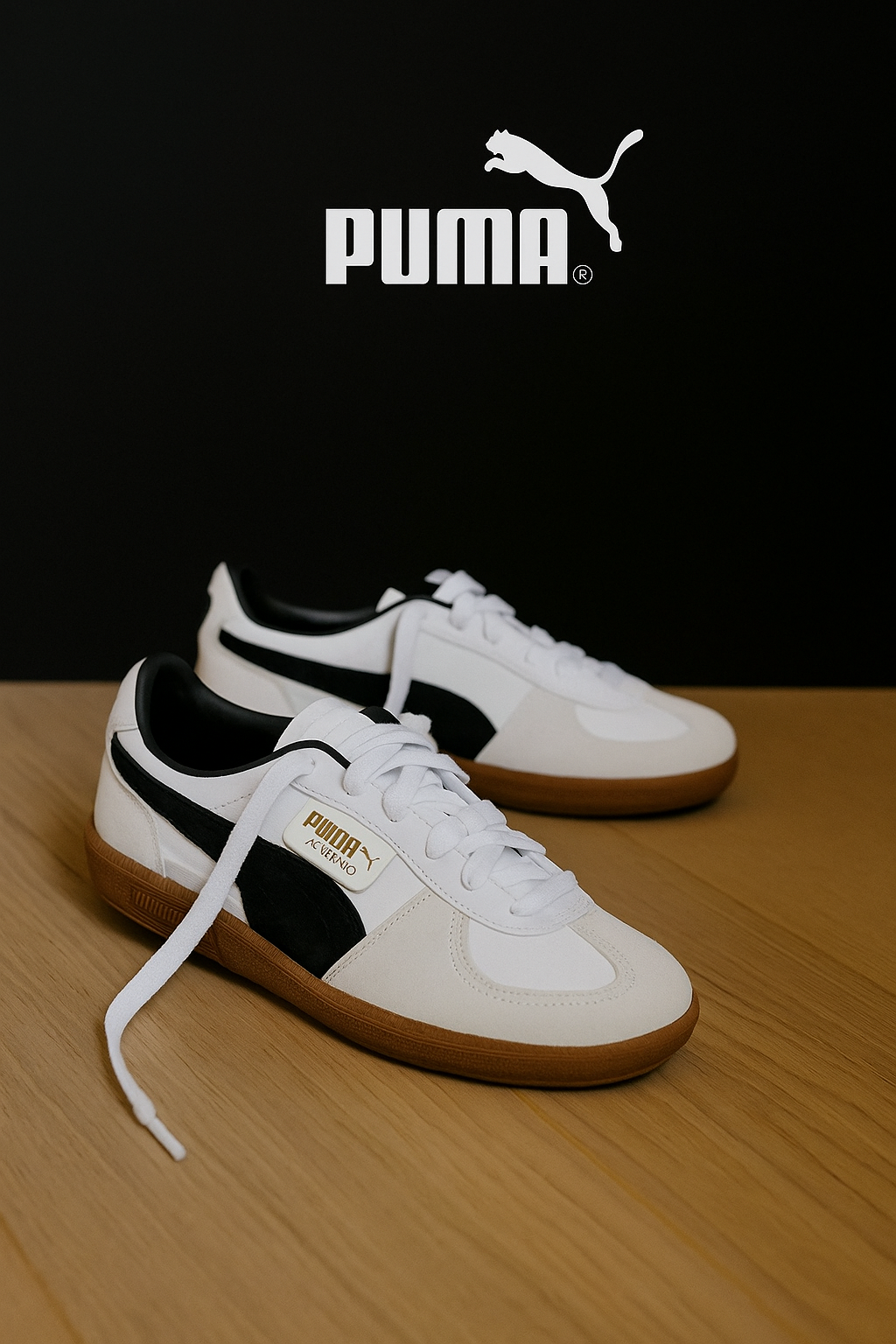 Puma -Palermo